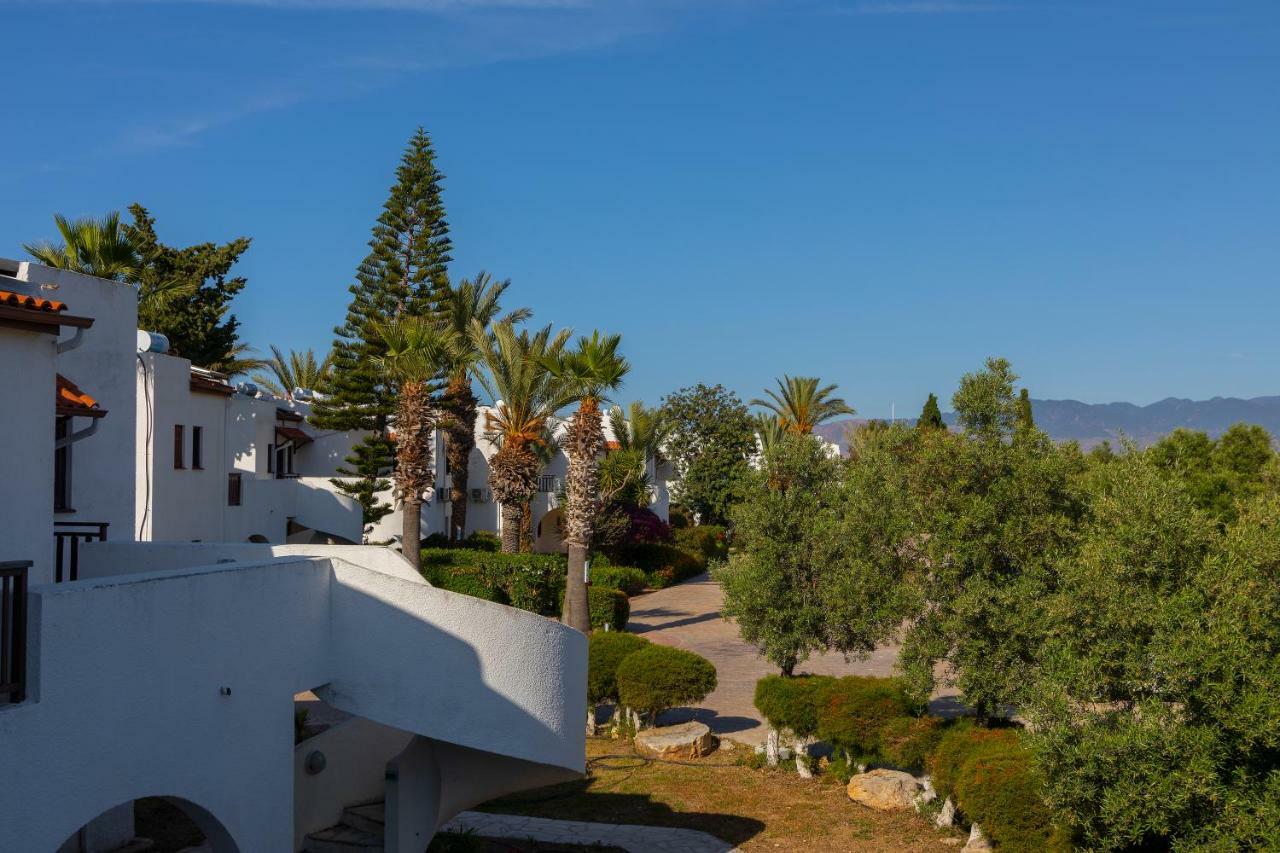 לאצ'י 11 Zen Hostel מראה חיצוני תמונה